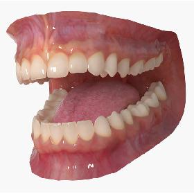 3D Mouth